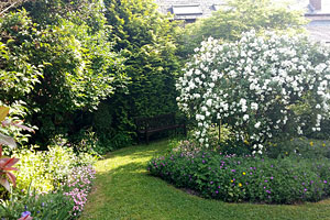 Image of Hollett's Garden